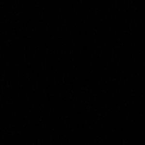 Meet your Posher, Cassidy